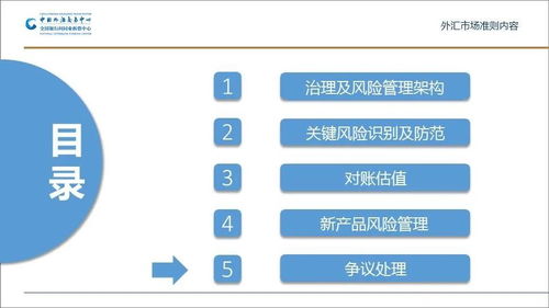 外汇市场准则培训材料 公司治理、风险管理与数据处理服务